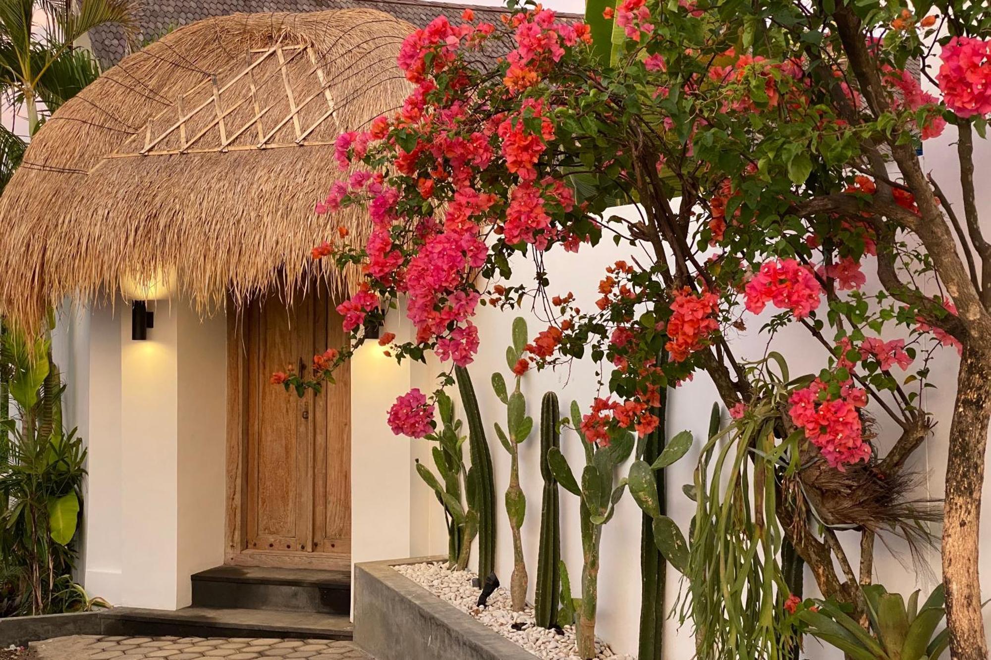 The Young Villas - Canggu Dış mekan fotoğraf
