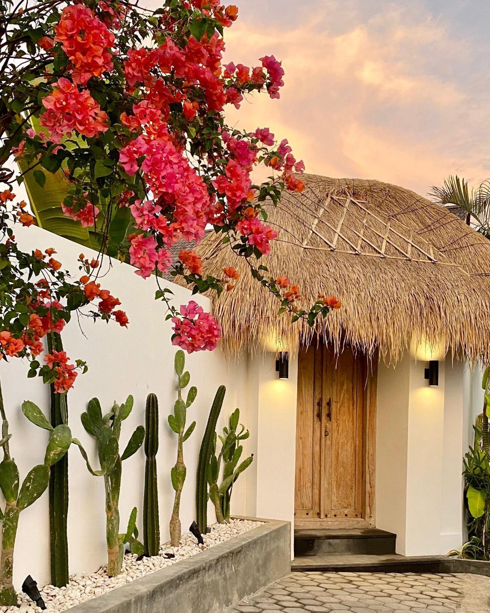 The Young Villas - Canggu Dış mekan fotoğraf